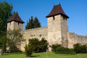 Tachov - obrázek