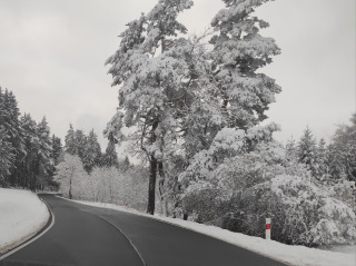 15. Konst. Lázně, cesta