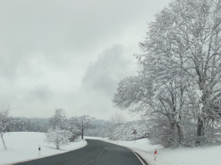 16. Konst. Lázně, cesta