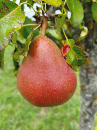 10. IMG_20260913_142731