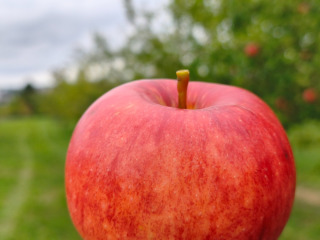 3. IMG_20260913_142248