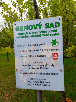 6. IMG_20260913_123958