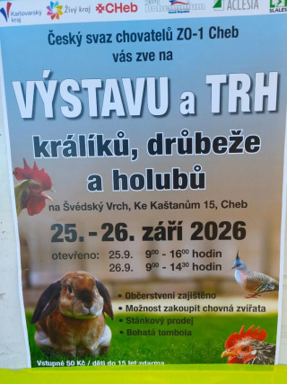 825329863_1398453262396