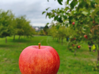 9. IMG_20260913_142309